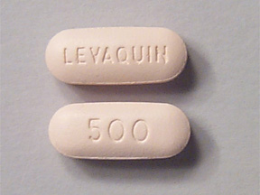 levaquin tablets