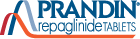 prandin tablets logo